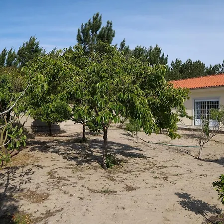 Villa Nazare Landscape Exterior foto